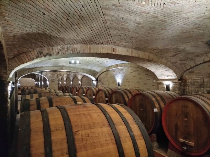 from-cagliari-wine-cellar-tour-with-tastings