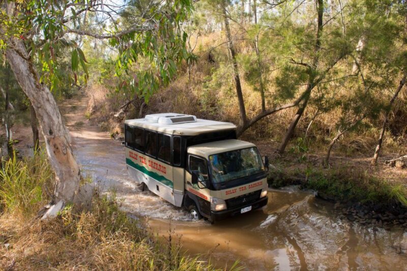 From Cairns: 3-Day Reef, Rainforest, and Outback Package - Exploring the 3-Day Cairns Experience: An In-Depth Look