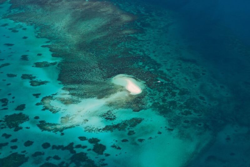 From Cairns: 40-Min Scenic Reef Window Seat Airplane Flight - The Experience: What to Expect from the Scenic Flight