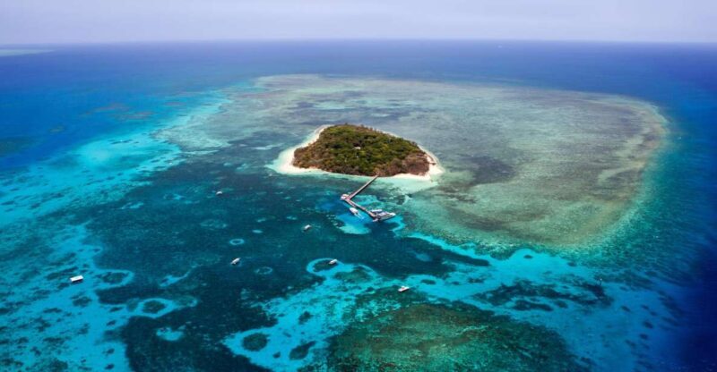 From Cairns: 40-Min Scenic Reef Window Seat Airplane Flight - The Small Group Advantage