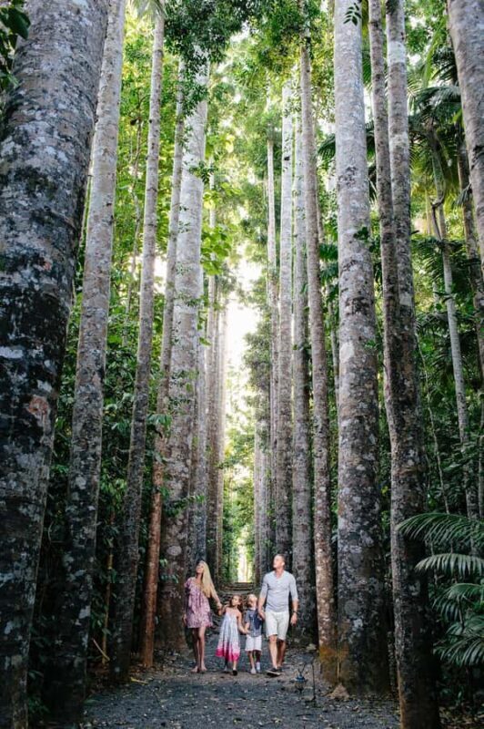 From Cairns: Atherton Tablelands and Paronella Park Day Trip - Who Should Consider This Tour?