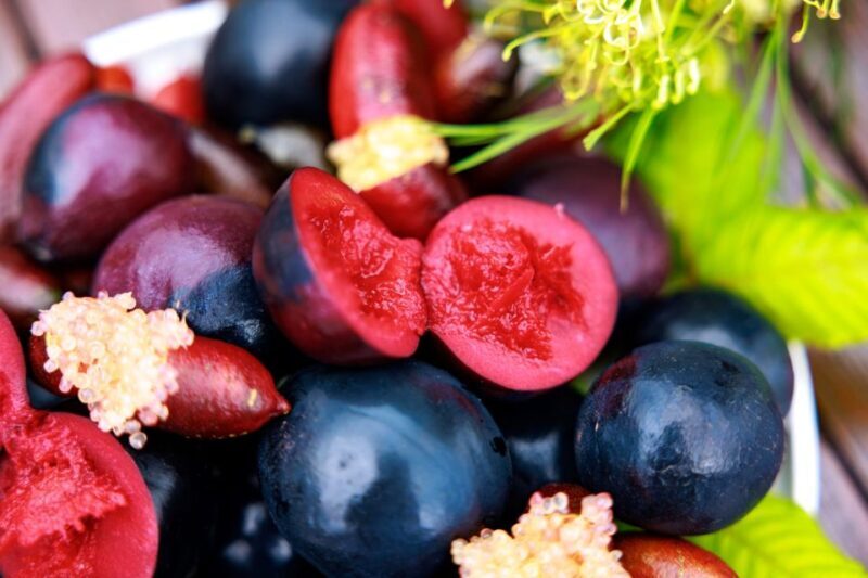 From Cairns: Atherton Tablelands Food and Wine Tasting Tour - Starting the Day at Lake Barrine  
