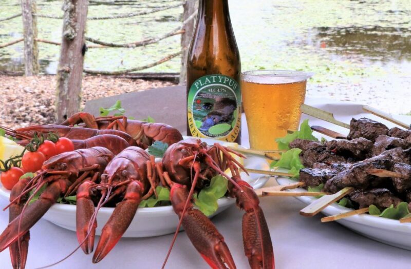 From Cairns: Atherton Tablelands Food and Wine Tasting Tour - Drive Home with Reflection and Thanks  