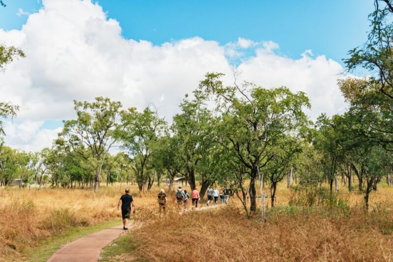 From Cairns: Chillagoe Caves and Outback Full-Day Tour - Journey into the Outback: What to Expect