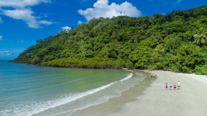 From Cairns: Daintree Rainforest & Cape Tribulation 4WD Tour - Key Points