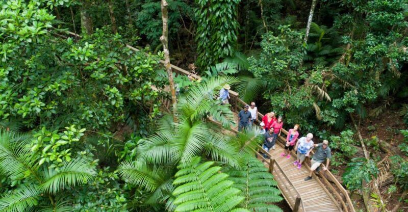 From Cairns: Daintree Rainforest & Cape Tribulation 4WD Tour - A Detailed Look at the Tour Experience