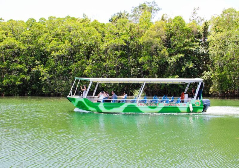 From Cairns: Daintree Wilderness & Cape Tribulation Bus Tour - Discovering the Daintree Rainforest: The Heart of the Tour