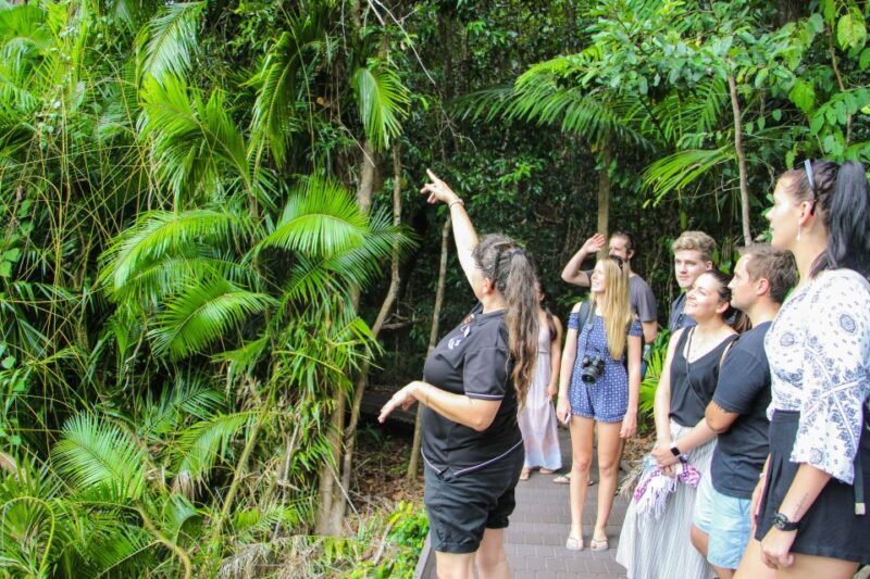 From Cairns: Daintree Wilderness & Cape Tribulation Bus Tour - The Daintree Experience: What Truly Stands Out