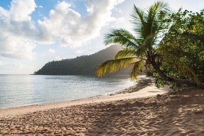 From Cairns: Dunk Island Day Tour - Optional Activities and Limitations