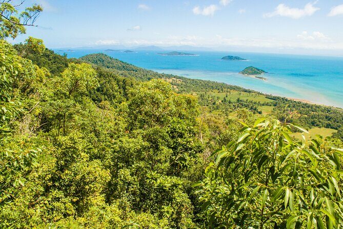 From Cairns: Dunk Island Day Tour - Return Trip and Overall Timing