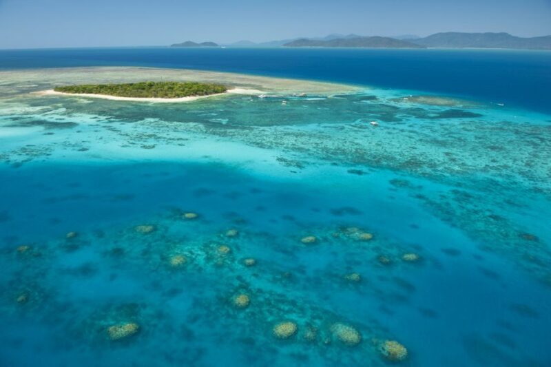 From Cairns: Full-Day Green Island Cruise - The Value and Why It Works