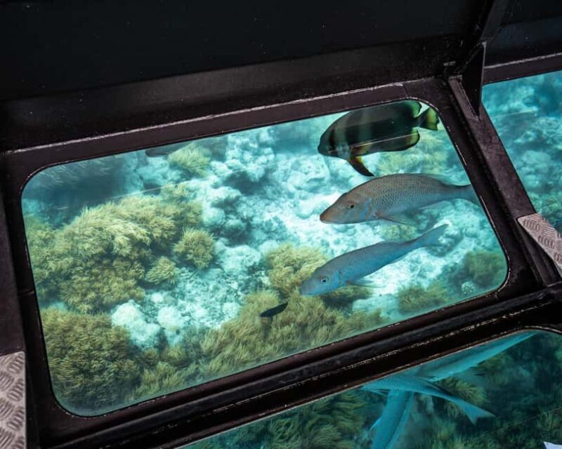 From Cairns: Full-Day Green Island Cruise - The Sum Up