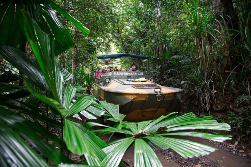 From Cairns: Full-Day Kuranda Army Duck Experience Tour - An In-Depth Look at the Itinerary