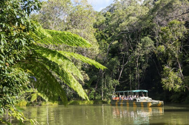 From Cairns: Full-Day Kuranda Army Duck Experience Tour - Insights from Reviews