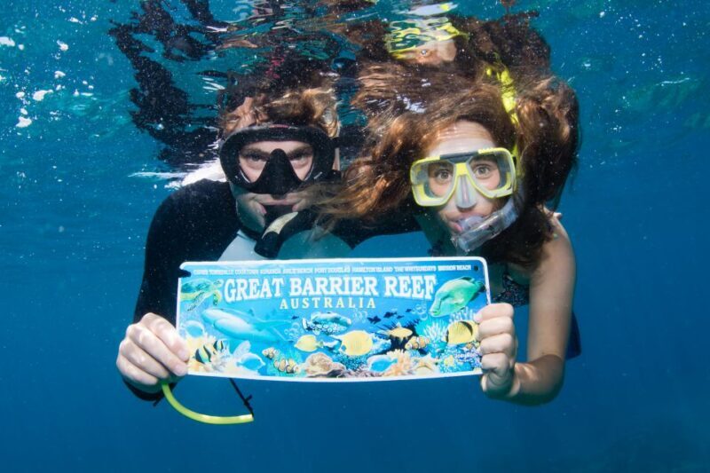 From Cairns: Great Barrier Reef Cruise by Premium Catamaran - Why This Tour Stands Out