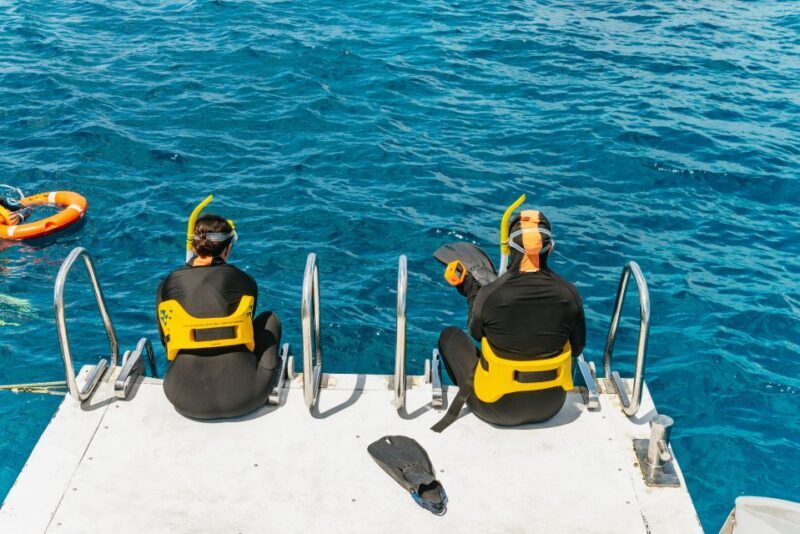 From Cairns: Great Barrier Reef Cruise by Premium Catamaran - The Real Deal: Pros and Cons