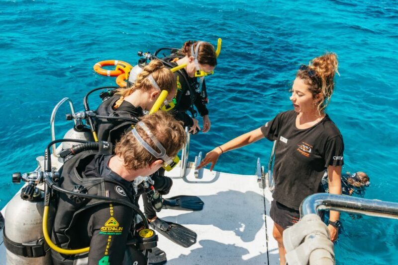 From Cairns: Great Barrier Reef Cruise by Premium Catamaran - FAQs