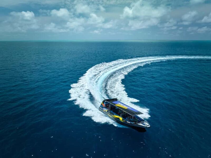 From Cairns: Great Barrier Reef Half-Day Snorkeling Tour - Key Points