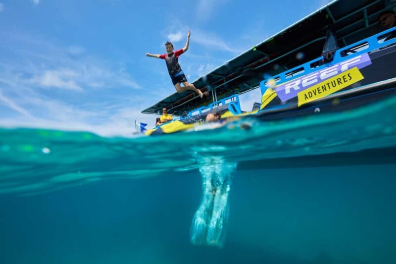 From Cairns: Great Barrier Reef Half-Day Snorkeling Tour - The Booking and Meeting Experience