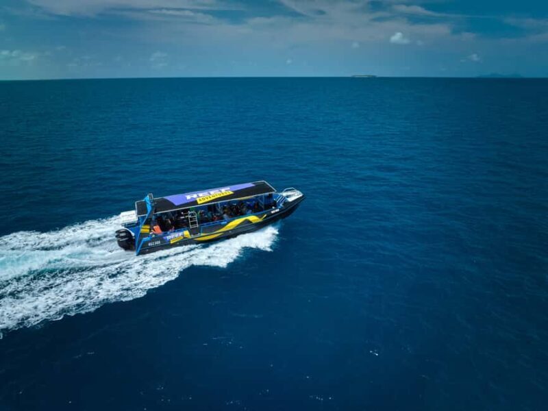 From Cairns: Great Barrier Reef Half-Day Snorkeling Tour - Snorkeling Equipment and Comfort