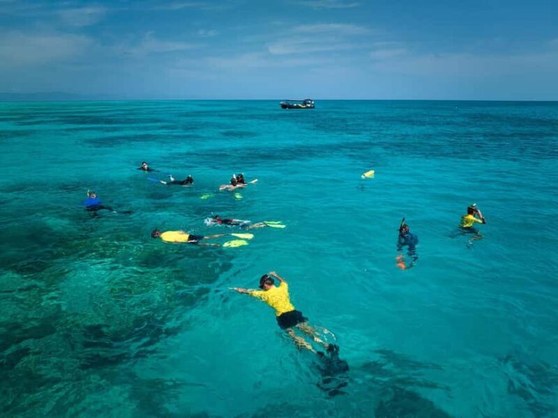 From Cairns: Great Barrier Reef Half-Day Snorkeling Tour - Practical Tips for Travelers