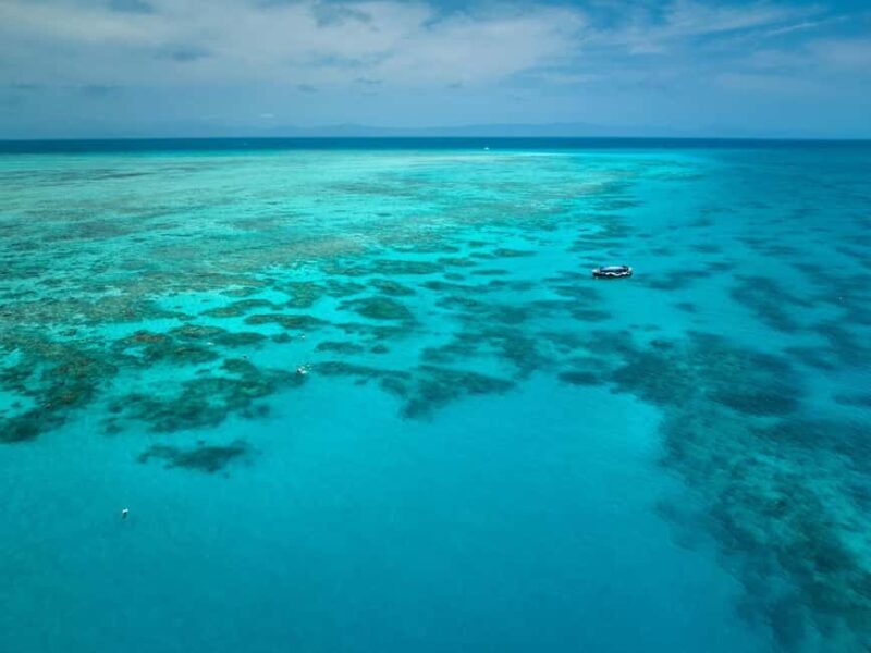 From Cairns: Great Barrier Reef Half-Day Snorkeling Tour - FAQ