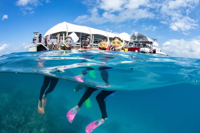 From Cairns: Great Barrier Reef Pontoon Experience - Key Points