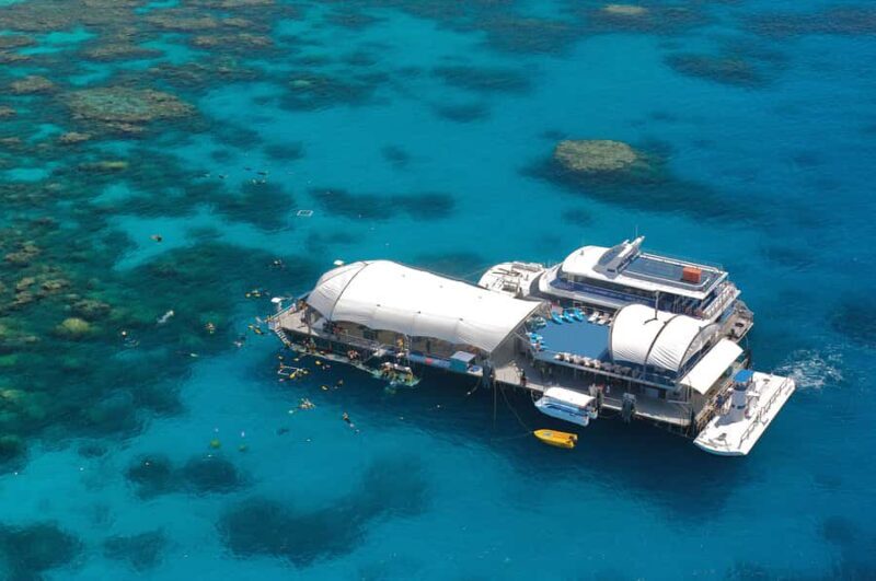 From Cairns: Great Barrier Reef Pontoon Experience - An In-Depth Look at the Tour