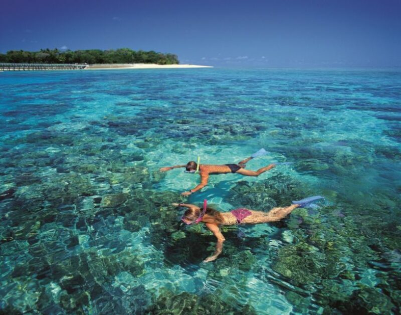 From Cairns: Green Island Half-Day Morning Cruise - A Complete Look at the Green Island Half-Day Cruise