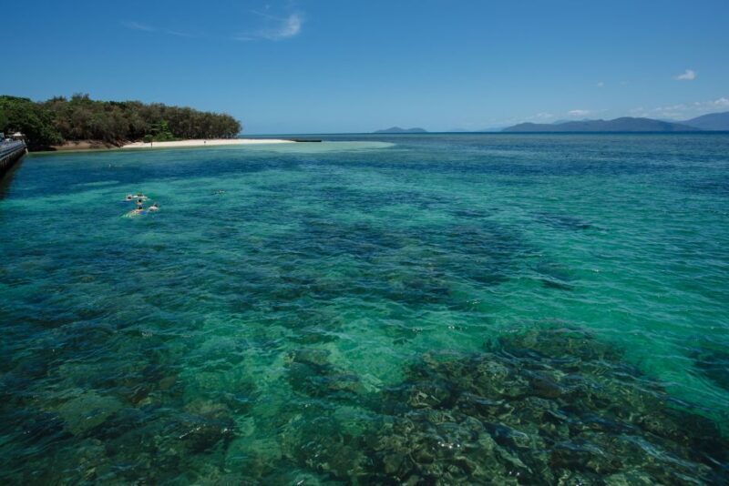 From Cairns: Half-Day Afternoon Cruise to Green Island - The Real Traveler Insights