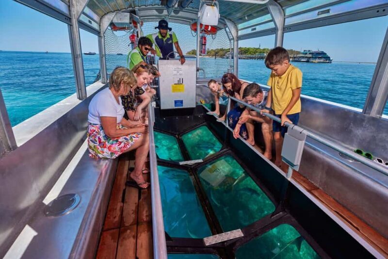 From Cairns: Half-Day Afternoon Cruise to Green Island - The Value of a Short Reef Escape