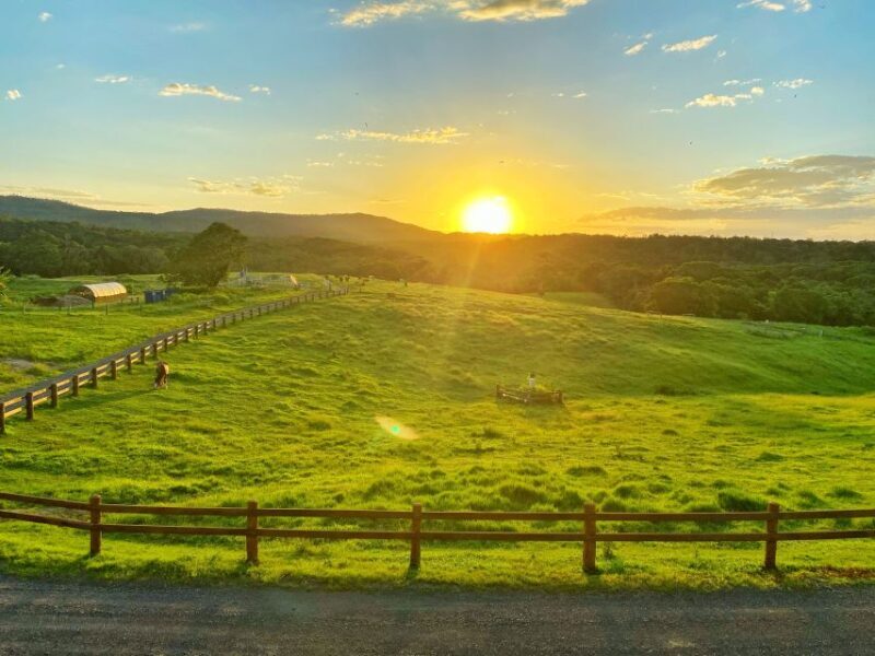 From Cairns: Kuranda Day Trip with Petting Zoo and Quad Ride - Practical Details and Considerations