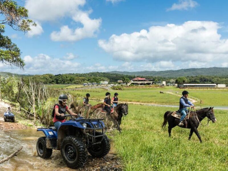 From Cairns: Kuranda Day Trip with Petting Zoo and Quad Ride - Who Will Love This Tour?