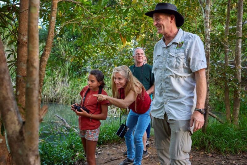 From Cairns: Rainforest & Nocturnal Wildlife Tour - Why This Tour Is a Great Choice