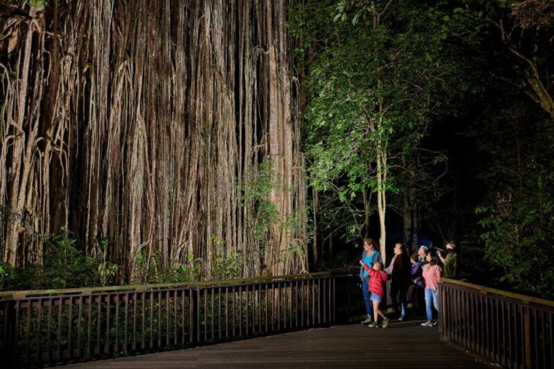 From Cairns: Rainforest & Nocturnal Wildlife Tour - FAQ