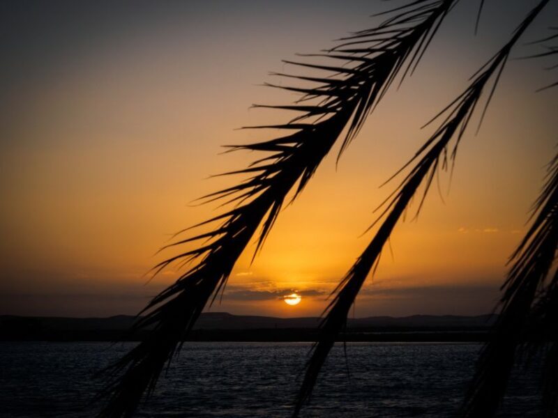 From Cairo: 3-Day Siwa Oasis and Western Desert Private Trip - Who Would Love This Tour?  