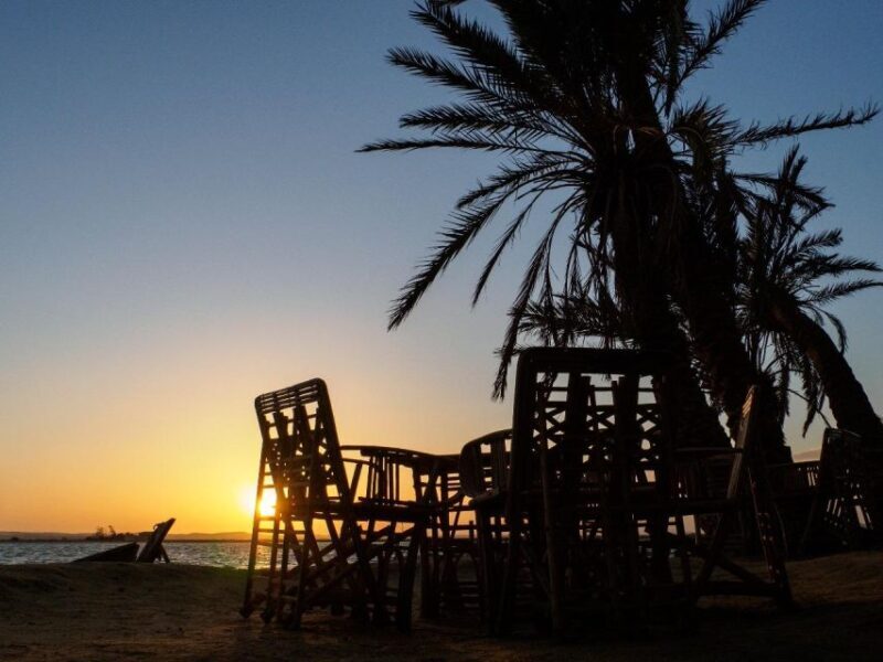 From Cairo: 4-Days Siwa Oasis Odyssey - A Closer Look at the 4-Day Siwa Oasis Tour