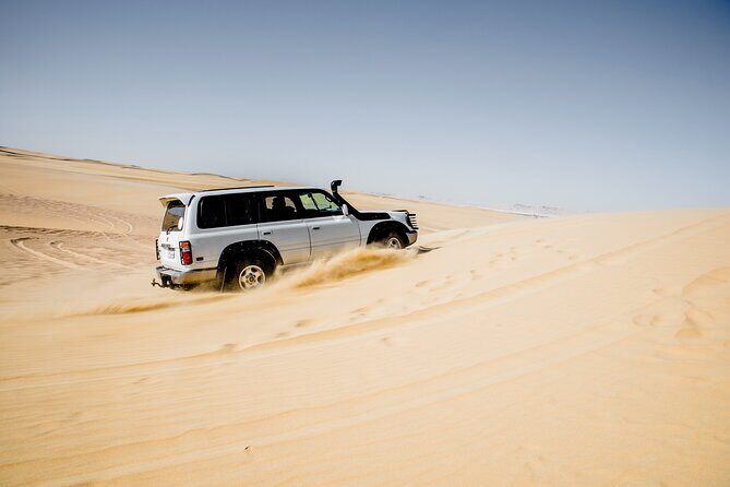From Cairo 4x4 Safari, Camel Ride, Magic Lake, Waterfalls & Lunch - Practical Tips for Travelers