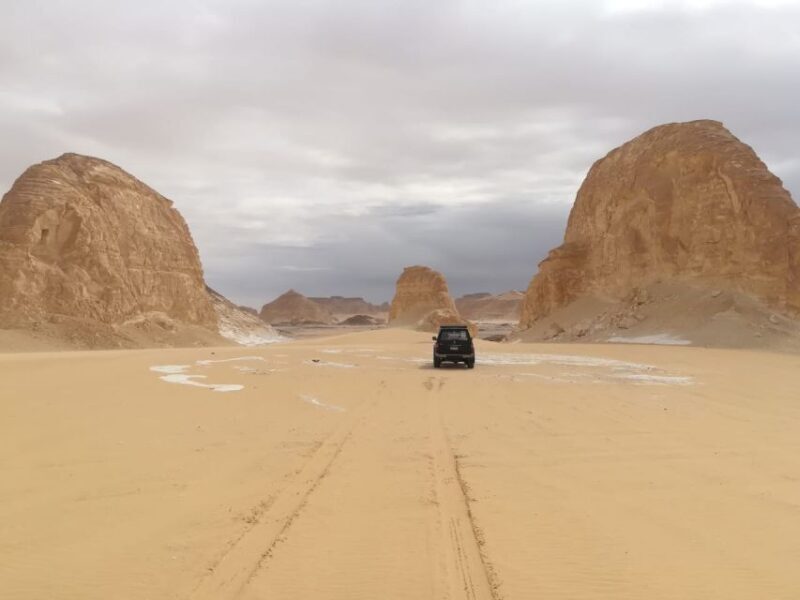 From Cairo: 7-Day Siwa, Bahariya & White Desert Private Tour - The Sum Up