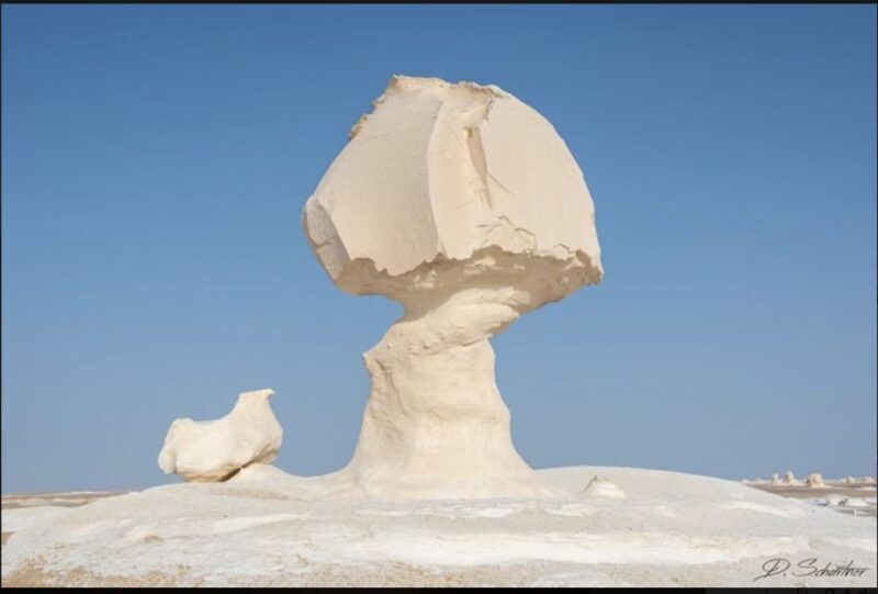 From Cairo: Bahariya Oasis and Black and White Desert Tour - An In-Depth Look at the Tour Experience