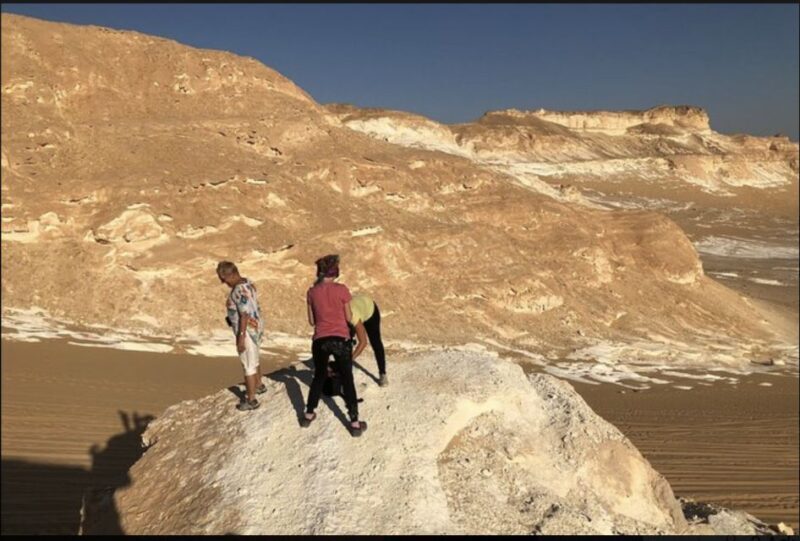 From Cairo: Bahariya Oasis and Black and White Desert Tour - Detailed Breakdown of the Itinerary