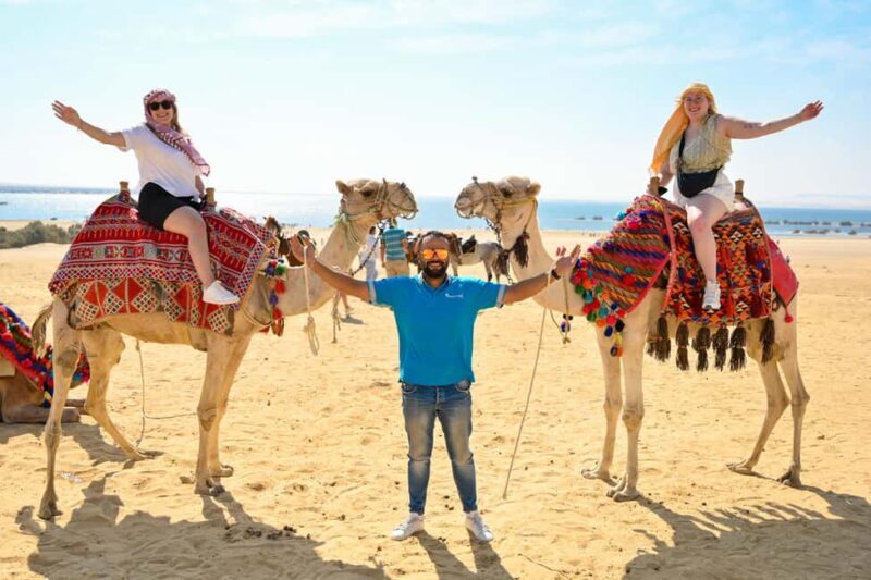 From Cairo: Desert Safari, Camel Ride, Magic Lake, & Lunch - The Itinerary Breakdown