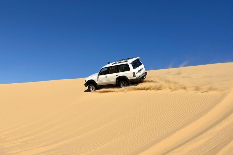 From Cairo: Desert Safari, Camel Ride, Magic Lake, & Lunch - Who Will Love This Experience?