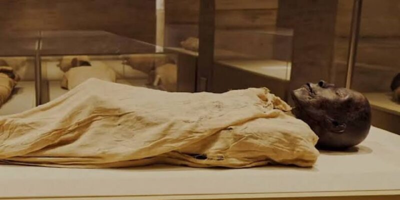 From Cairo: Egyptian and Civilization Museums Private Tour - Who Will This Tour Suit Best?