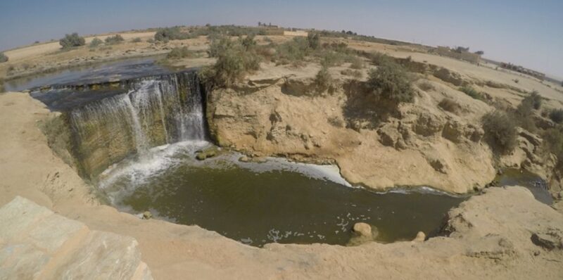 From Cairo: Fayoum Oasis and Wadi Al Rayan Guided Tour - Final Thoughts