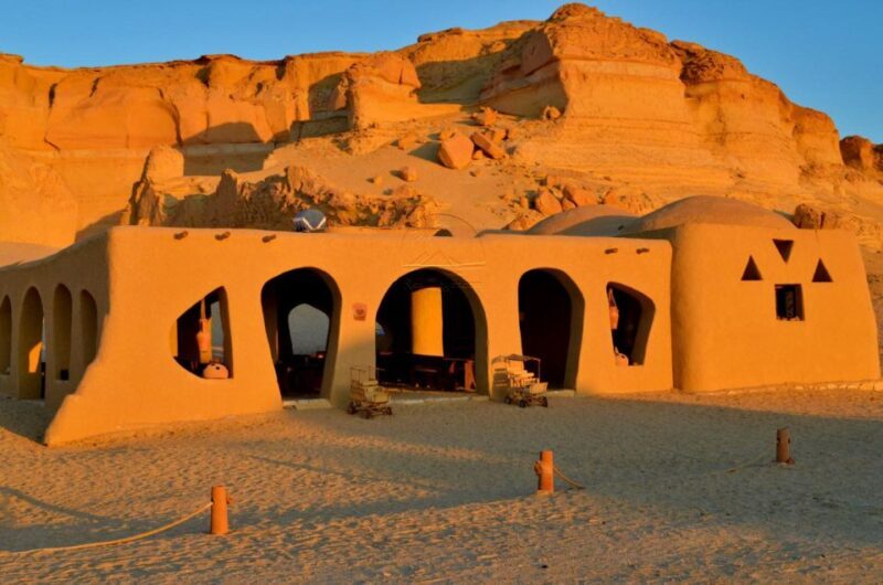 From Cairo: Full-Day Tour To El Fayoum - Key Points
