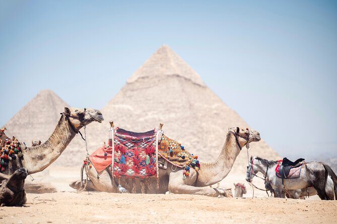 From Cairo: Giza Pyramids, Sphinx, Saqqara & Memphis Tour - Why This Tour Offers Great Value