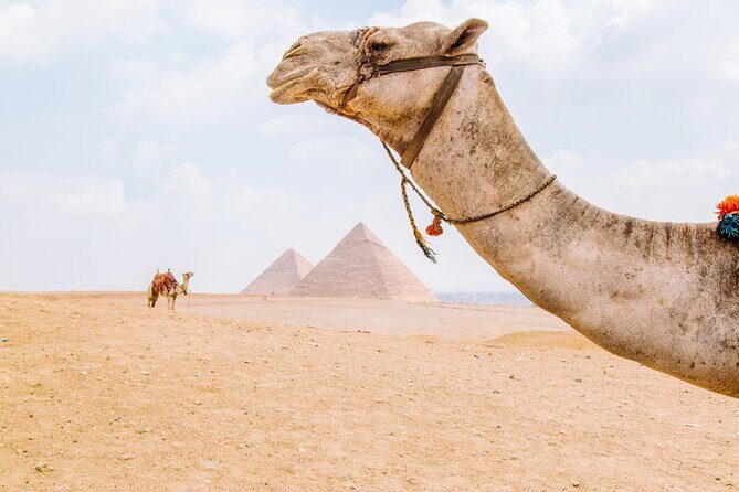 From Cairo: Private Crowd Free Half Day Pyramids Adventure - Lunch and Cultural Experiences
