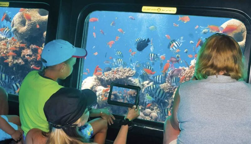 From Cairo: Red Sea Al-Ain Sokhna Private Full-Day Tour - Is This Tour Worth the Price?