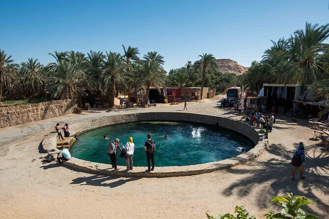 From Cairo: Sulfur & Salt Lake Swim, 4x4 Safari & Siwa Oasis Tour - Deep Dive into the Itinerary